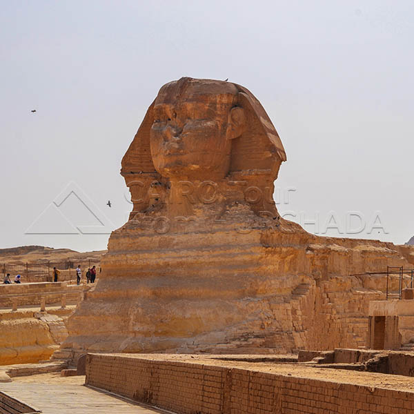Hurghada Cairo Private Day Trip with Giza Pyramids, Sphinx, and Sakkara