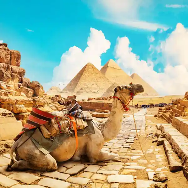 Hurghada to Giza Tour