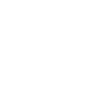 flexiblicn2